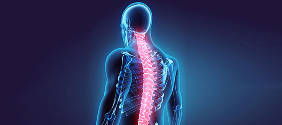 Facet Joint Injections Specialist Near Me in Hattiesburg, MS Facet Joint Injections Specialist Near Me in Hattiesburg, MS